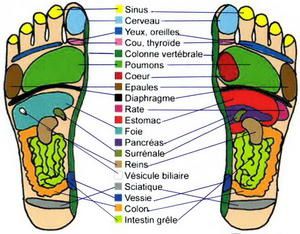 reflexologie,bio,pieds